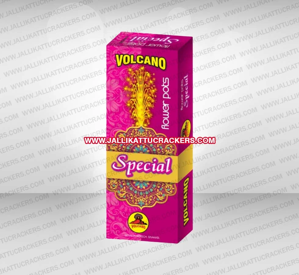 Flower Pot Special image 1